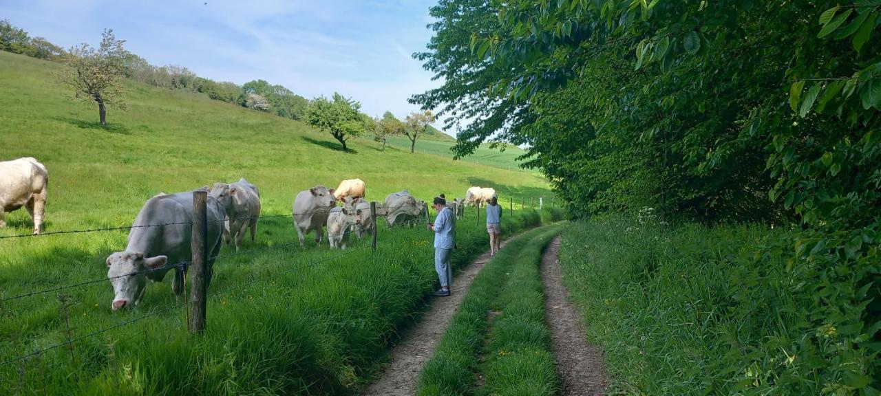 La Croisee Des Chemins Arques-la-Bataille Εξωτερικό φωτογραφία